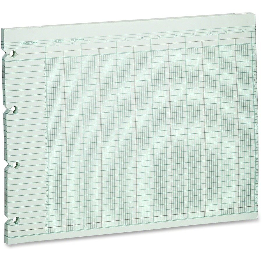 Wilson Jones 20-Column Ruled Sheets